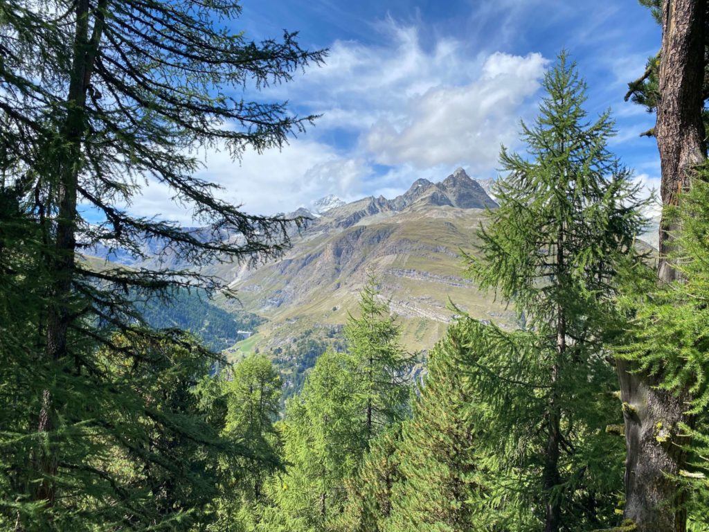 リッフェルアルプ駅周辺のアルプスの景色